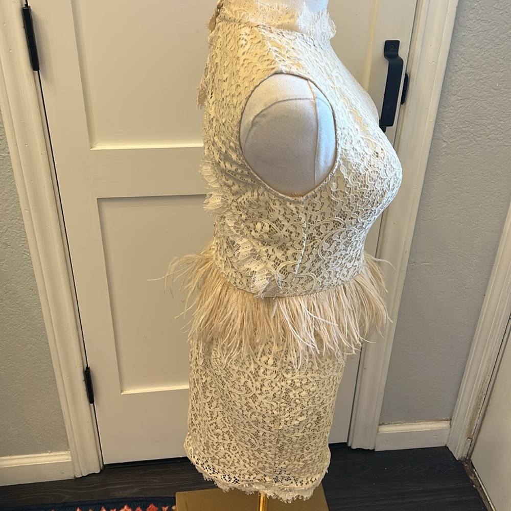 Feather and Lace Dress - Picture 4 of 14